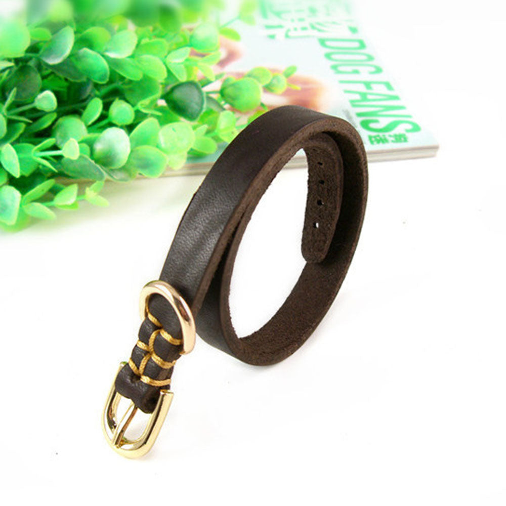 Real Cowhide Puppy Dog Collar