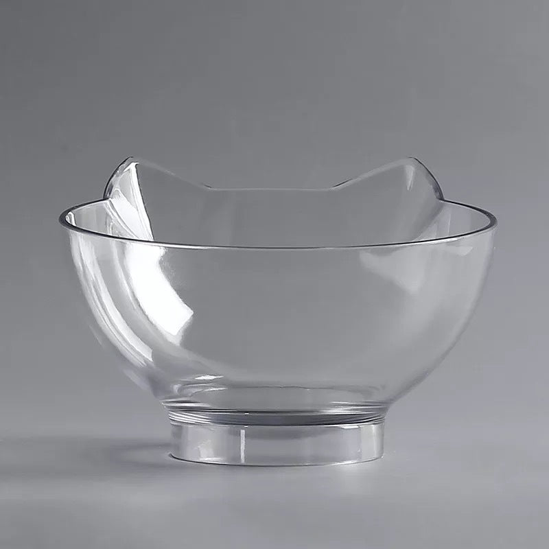 Cat Elevated Feeder Stand With Transparent Bowl