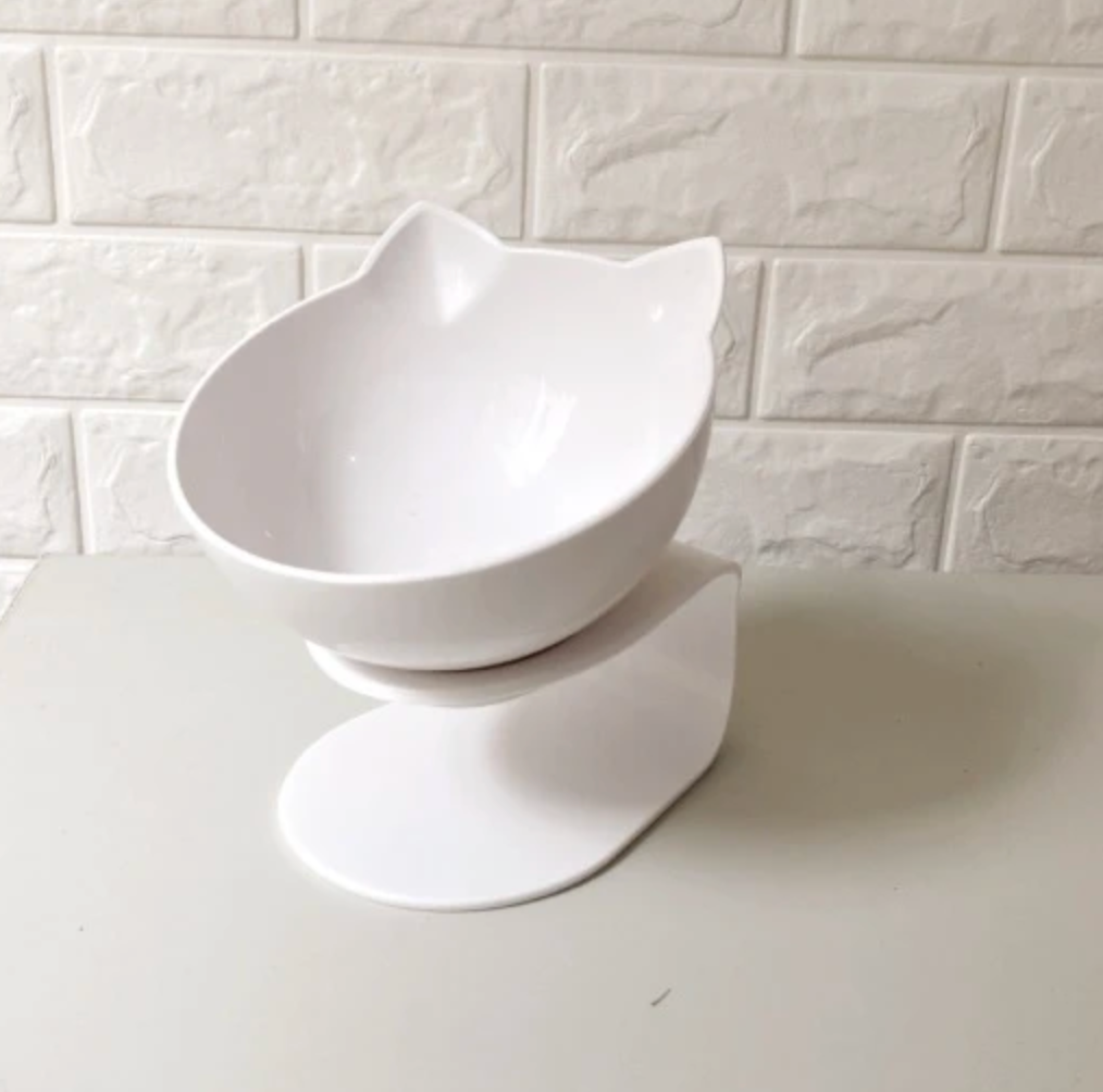 Cat Elevated Feeder Stand With Transparent Bowl